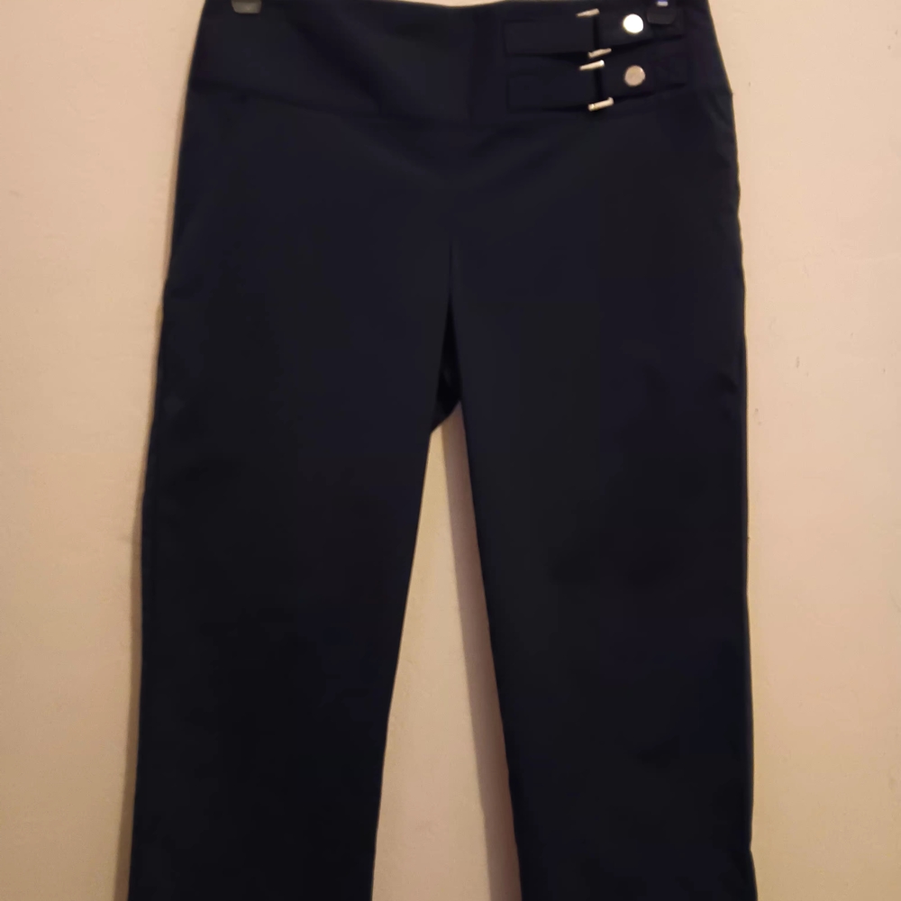 IZOD PERFORM X Pants, Women's Size 2,  Blue, Cool Fit, Stretch,  Silver NWOT